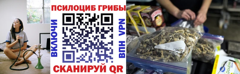 купить наркотики сайты Снежногорск Псилоцибиновые грибы прущие грибы