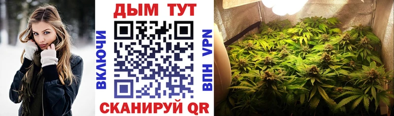 Шишки марихуана конопля  Снежногорск 